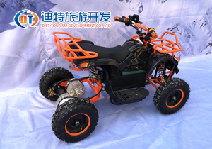 小型娛樂(lè)公牛車(chē)